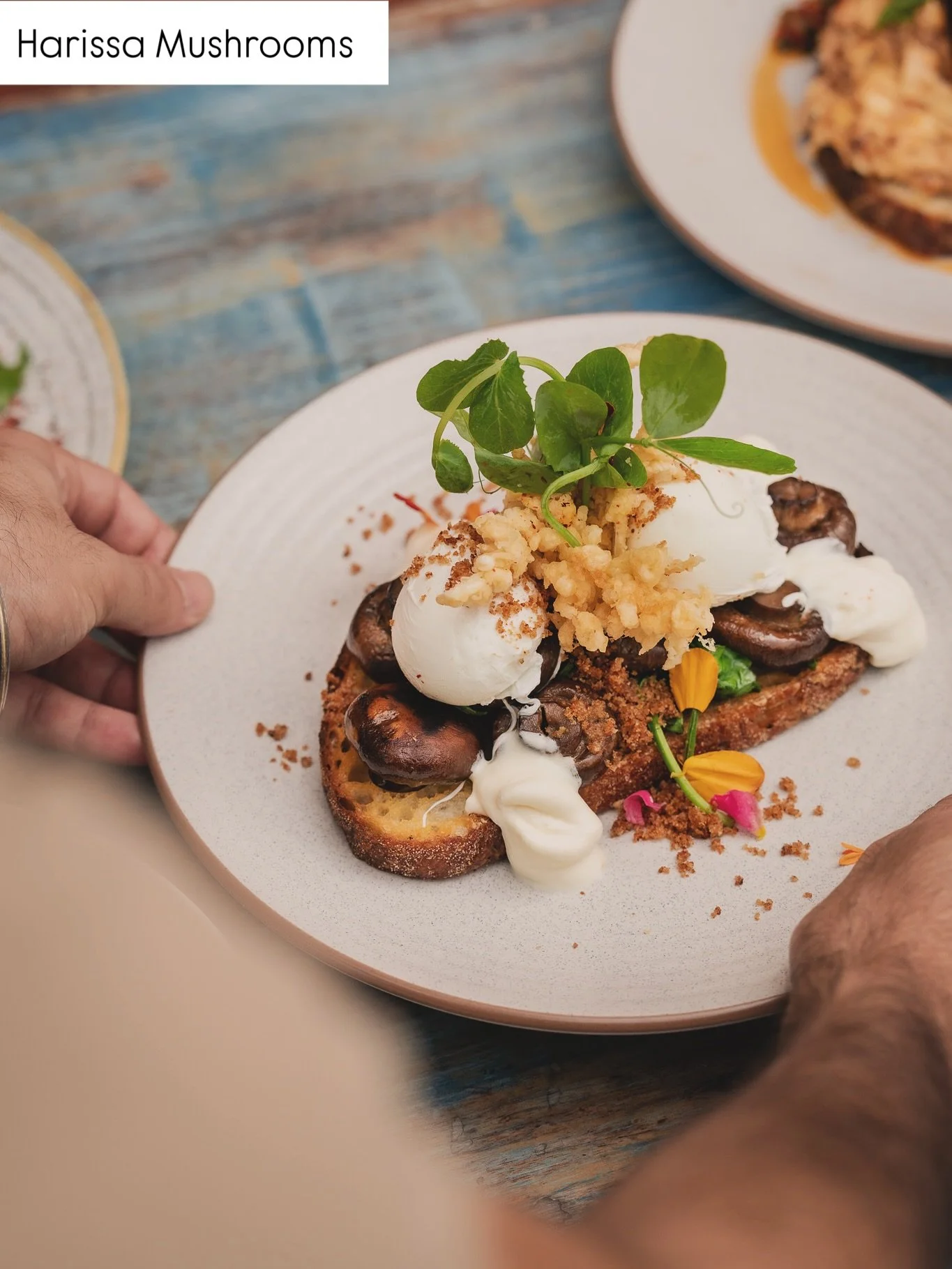 ✨ MOOR NEWCASTLE EAST SPECIALS ✨

Simple &bull; Unique &bull; Fresh

Harissa Mushroom 🍄&zwj;🟫 

Sourdough with poached eggs, goat cheese, olive pangrattato, spinach &amp; enoki.

Mexican Bowl 🥣 🇲🇽 

Brown rice, beans, cabbage slaw, avocado, jala