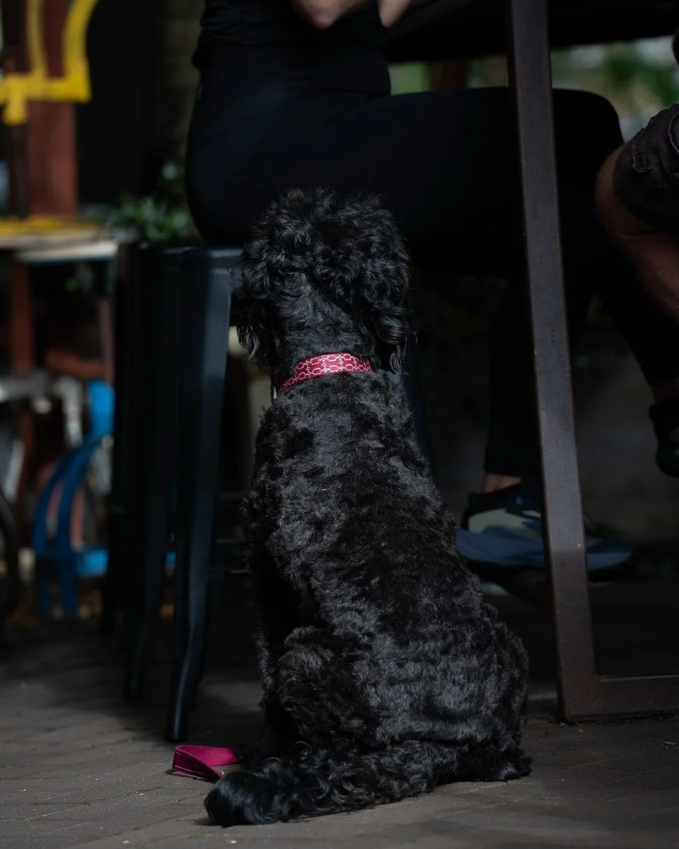 🐾 DOGS WELCOME AT MOOR 🐾

Good vibes, great coffee&hellip; and your furry best friend by your side 🐶☕

At Moor Newcastle East, we&rsquo;re proudly dog-friendly!
Bring your pup along, grab a coffee, and enjoy the coastal caf&eacute; vibes together 