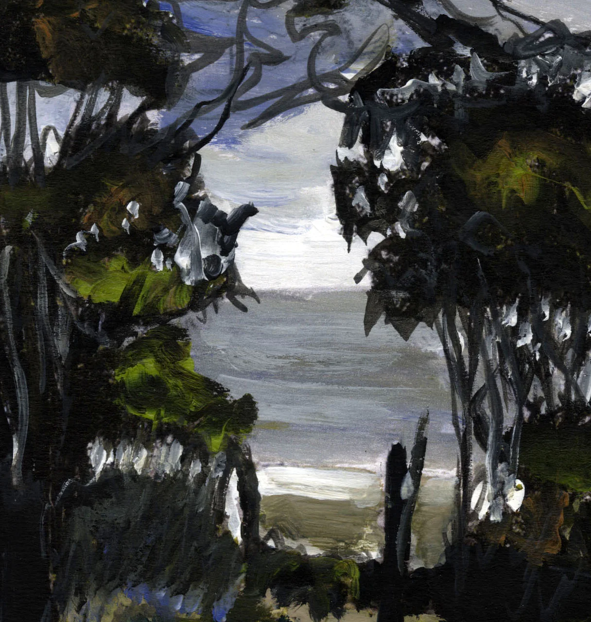 Heading through Murramarang gums, 2018