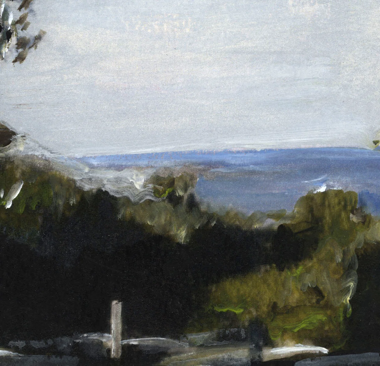 Road to Boat Beach, 2018