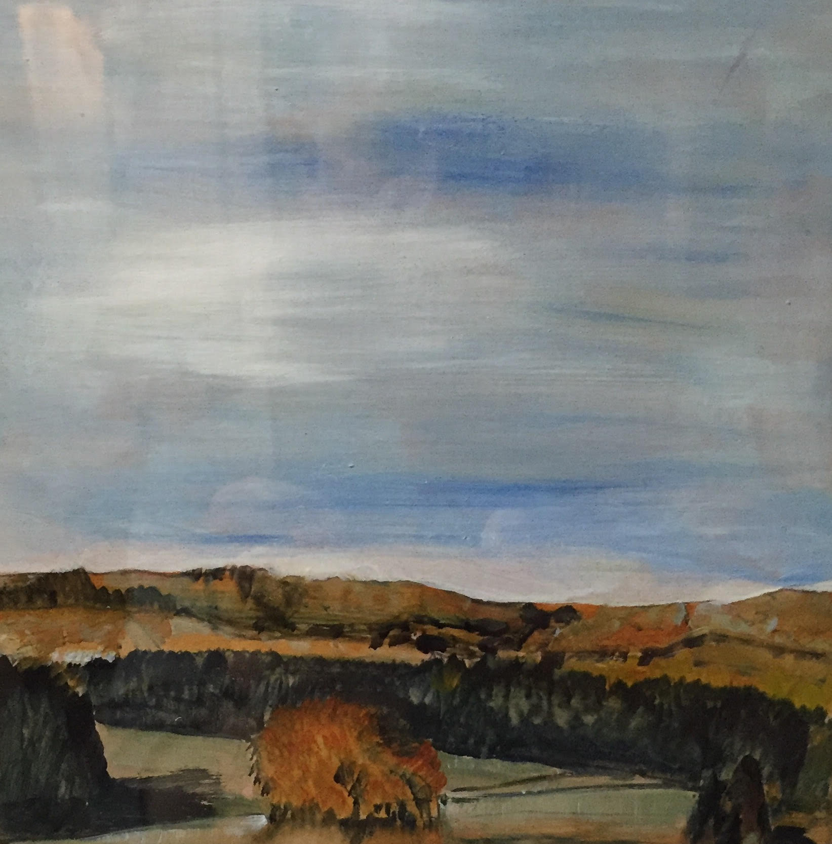 Gums on roadside, 2018