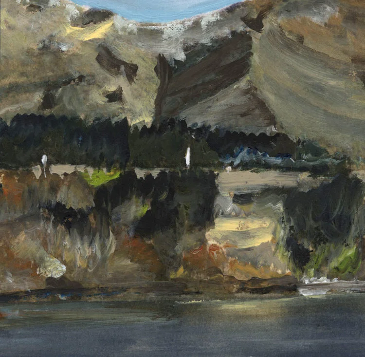 Heidi Jackson, Waiau River, 2018