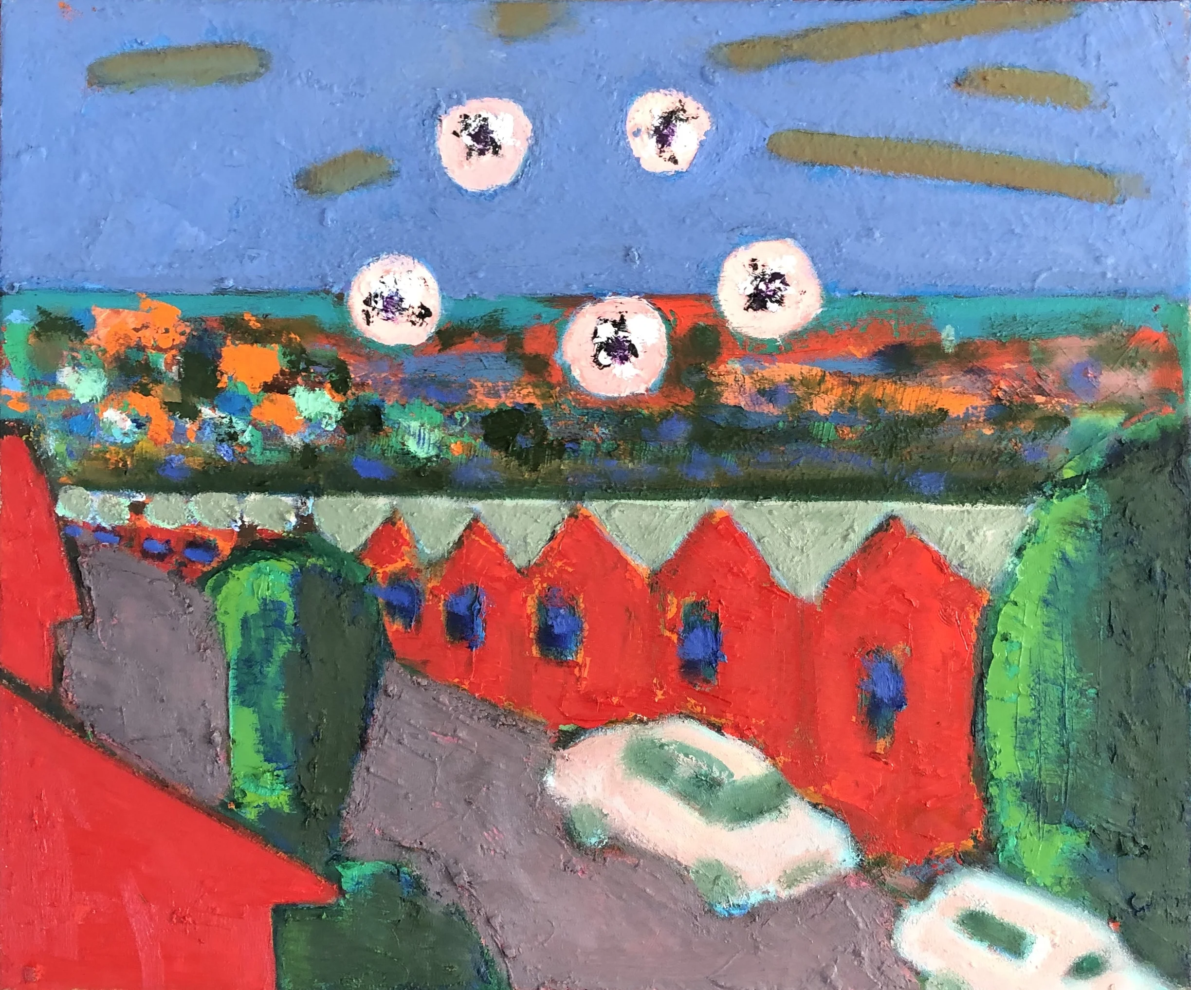 5 Magpies over Asher St Georgetown, finished 2019