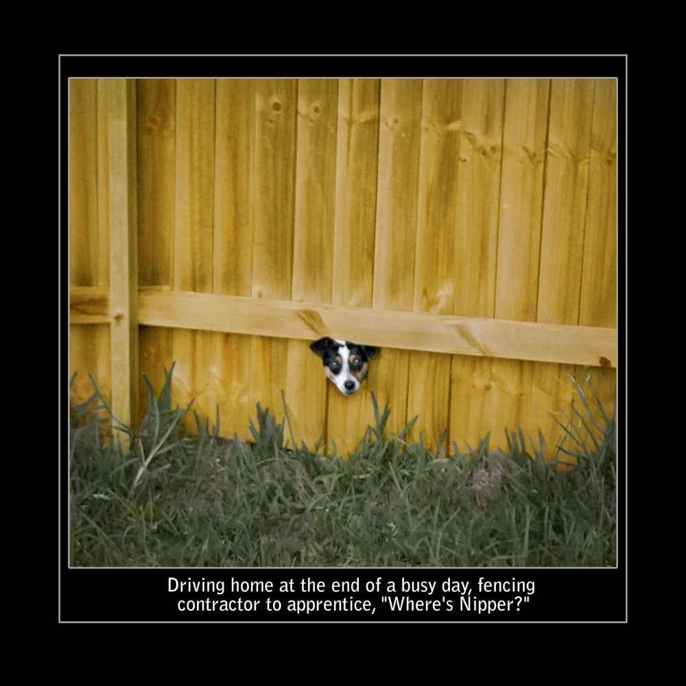 Where's Nipper