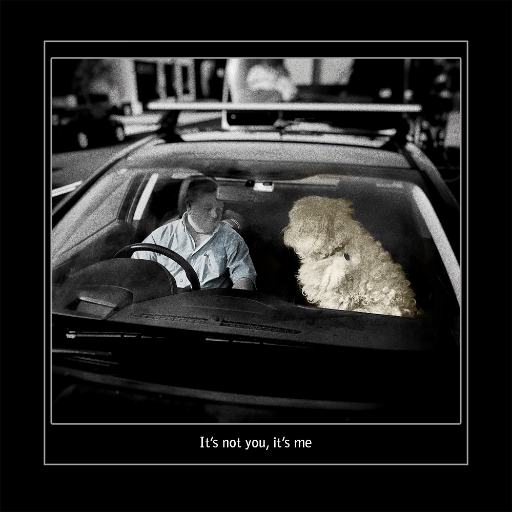 Not You, Me