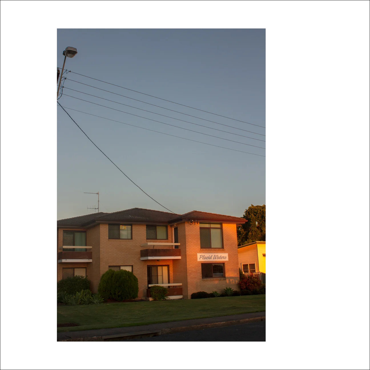 Placid Waters, Forster, 2016
