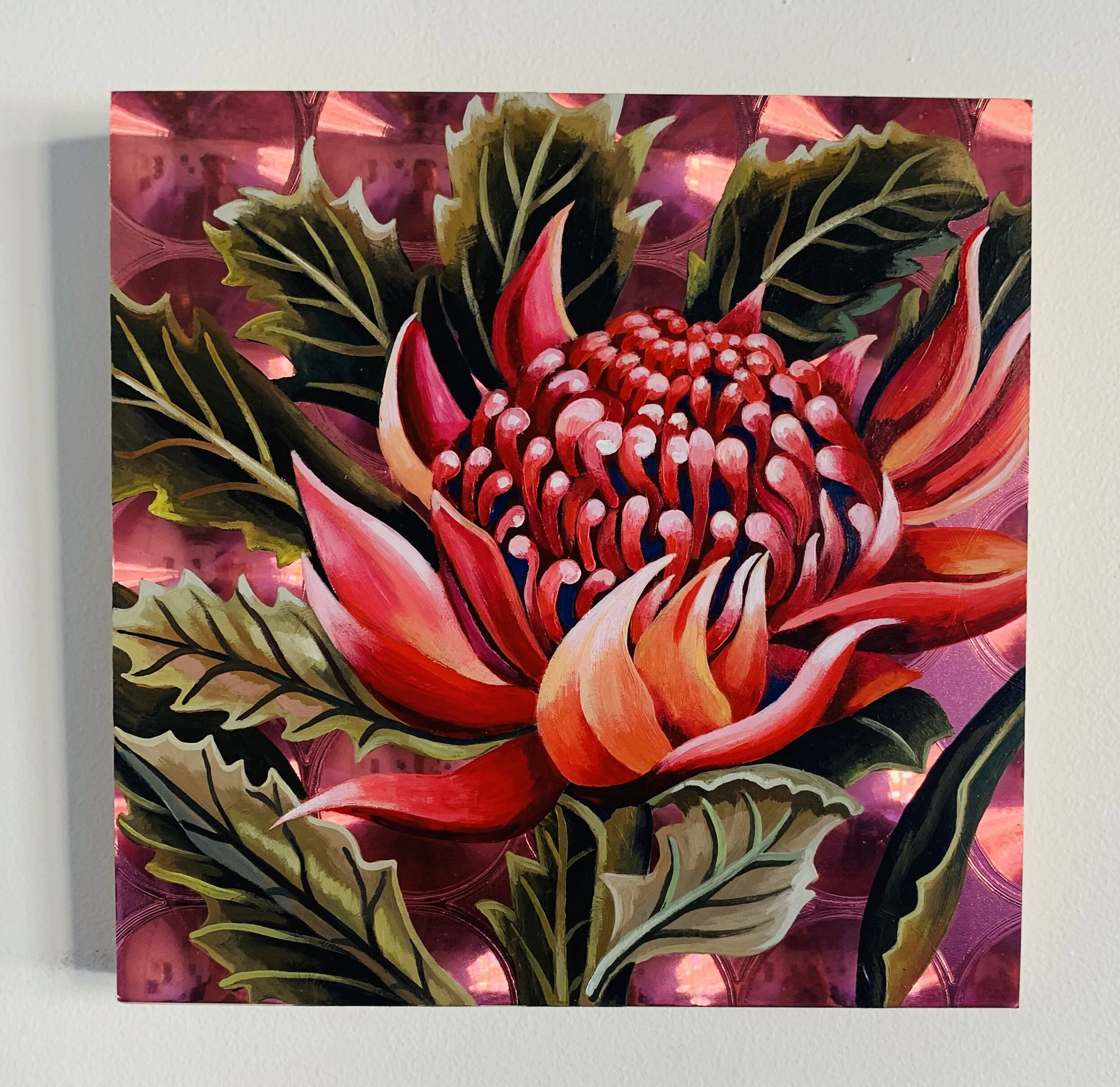 Hot Pink Waratah, 2019
