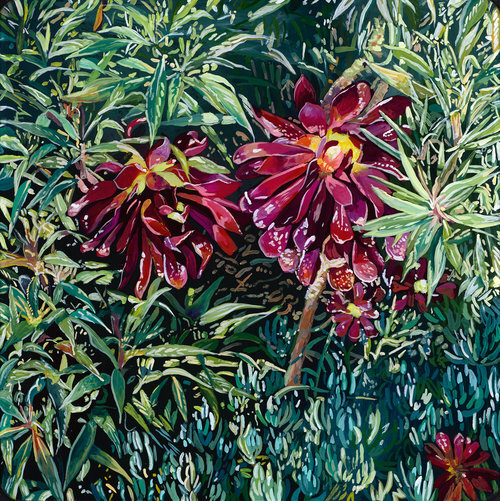 Flowers on Hillhurst