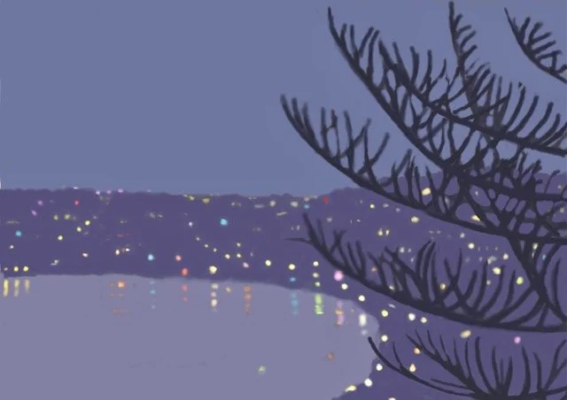  Coogee Dusk, 2022  Ipad digital drawing, printed on archival cotton rag paper Ed of 10 42x49cm (image size), 55x42cm (framed size) Price:  $450.00 unframed, $550.00 framed    