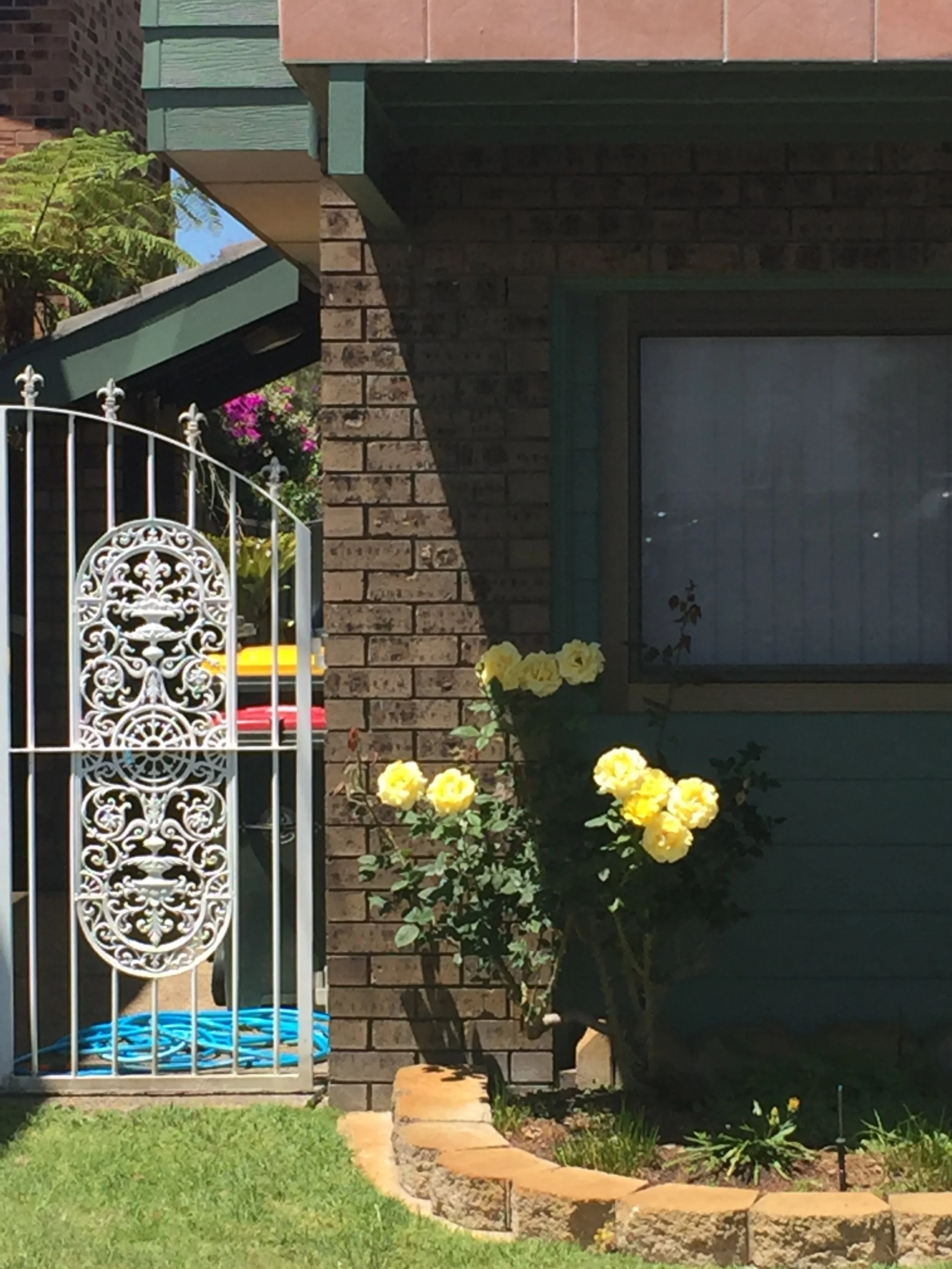  Wayne Chick, The hissing of summer lawns, 2023  postcard art magnet, 14 x 10.5 cm, edition of 10  price:  $50.00 each 