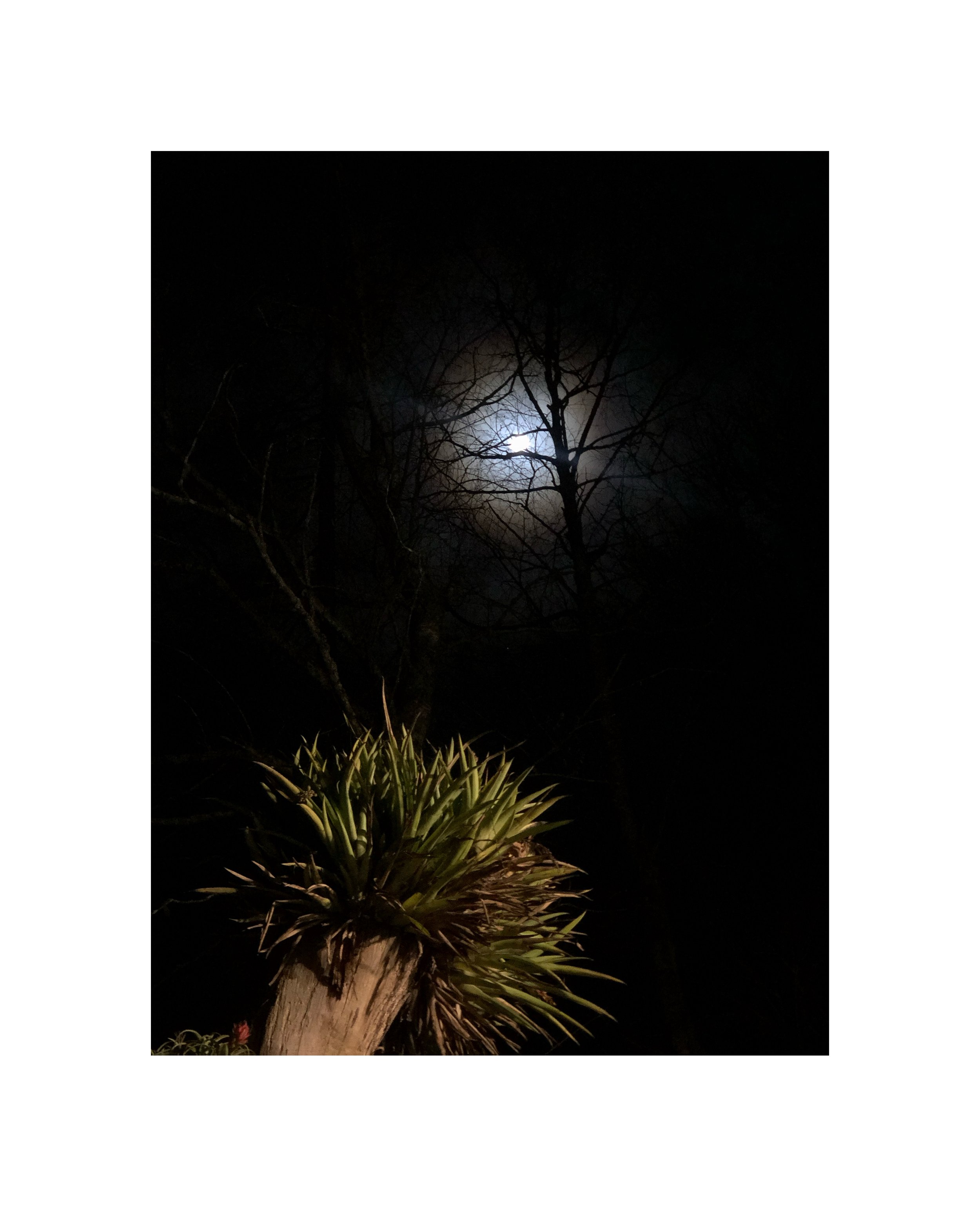  Katoomba Full Moon, 2019, iphone digital image on archival paper, 310gsm, image size (A2), 59.4 x 42cm, sold no. 1 in an edition of 8  price:&nbsp; $380.00 unframed, $450.00 framed 