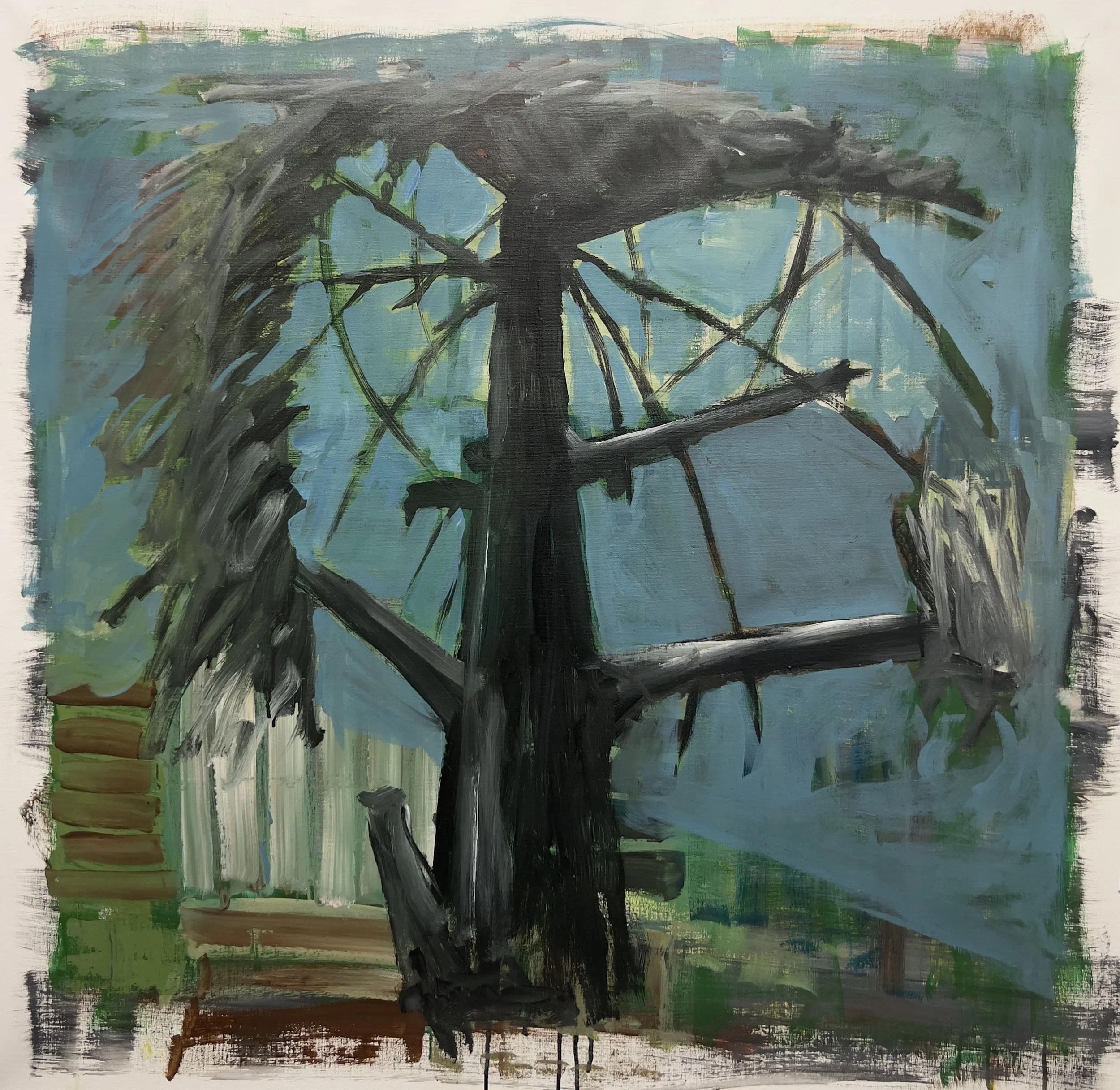  Cedar 2, 2025, acrylic on canvas, 92 × 96cm price: $1,750.00 
