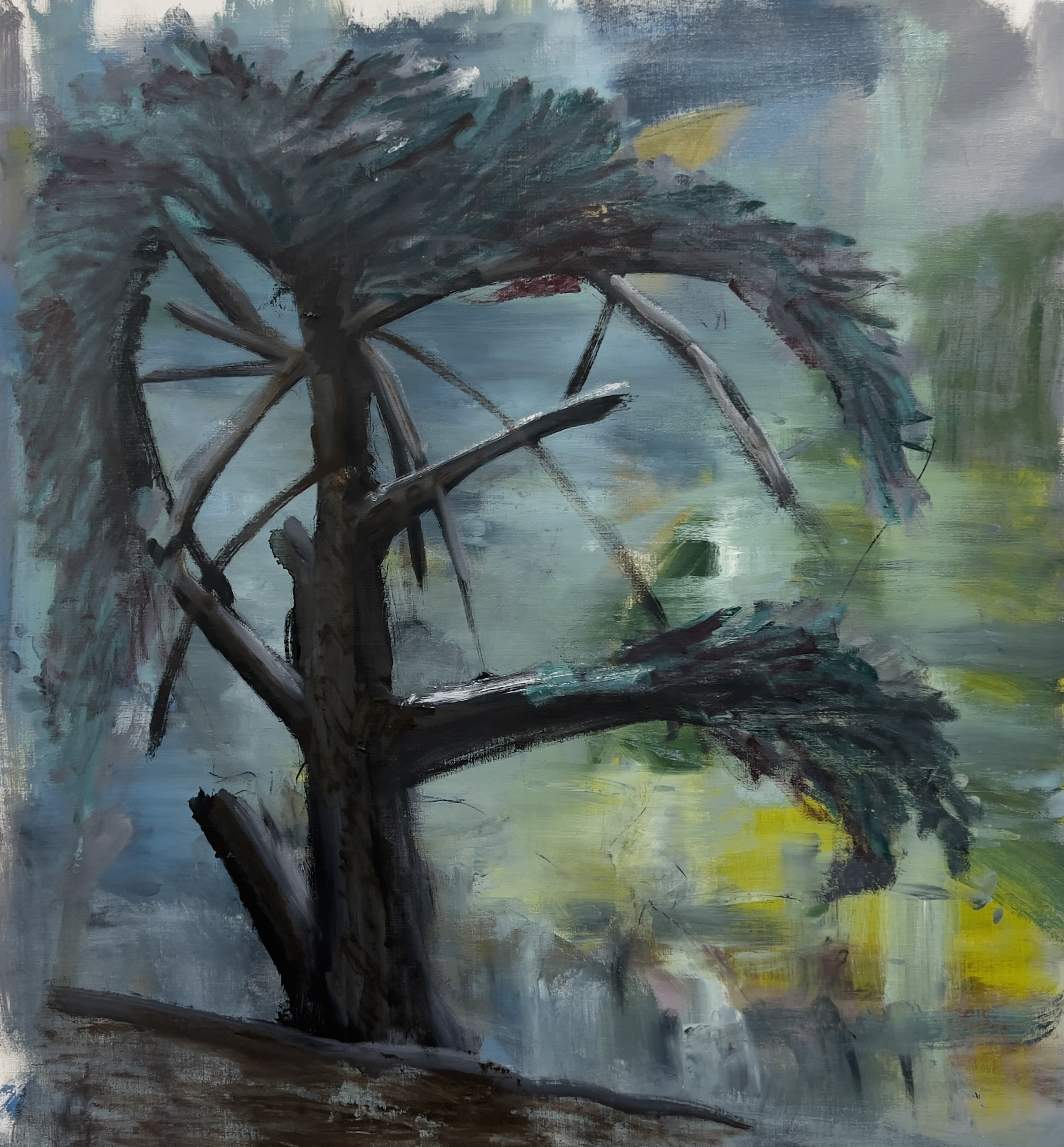  Cedar 3, 2025, oil on canvas, 92 × 96cm   SOLD price: $1,750.00 