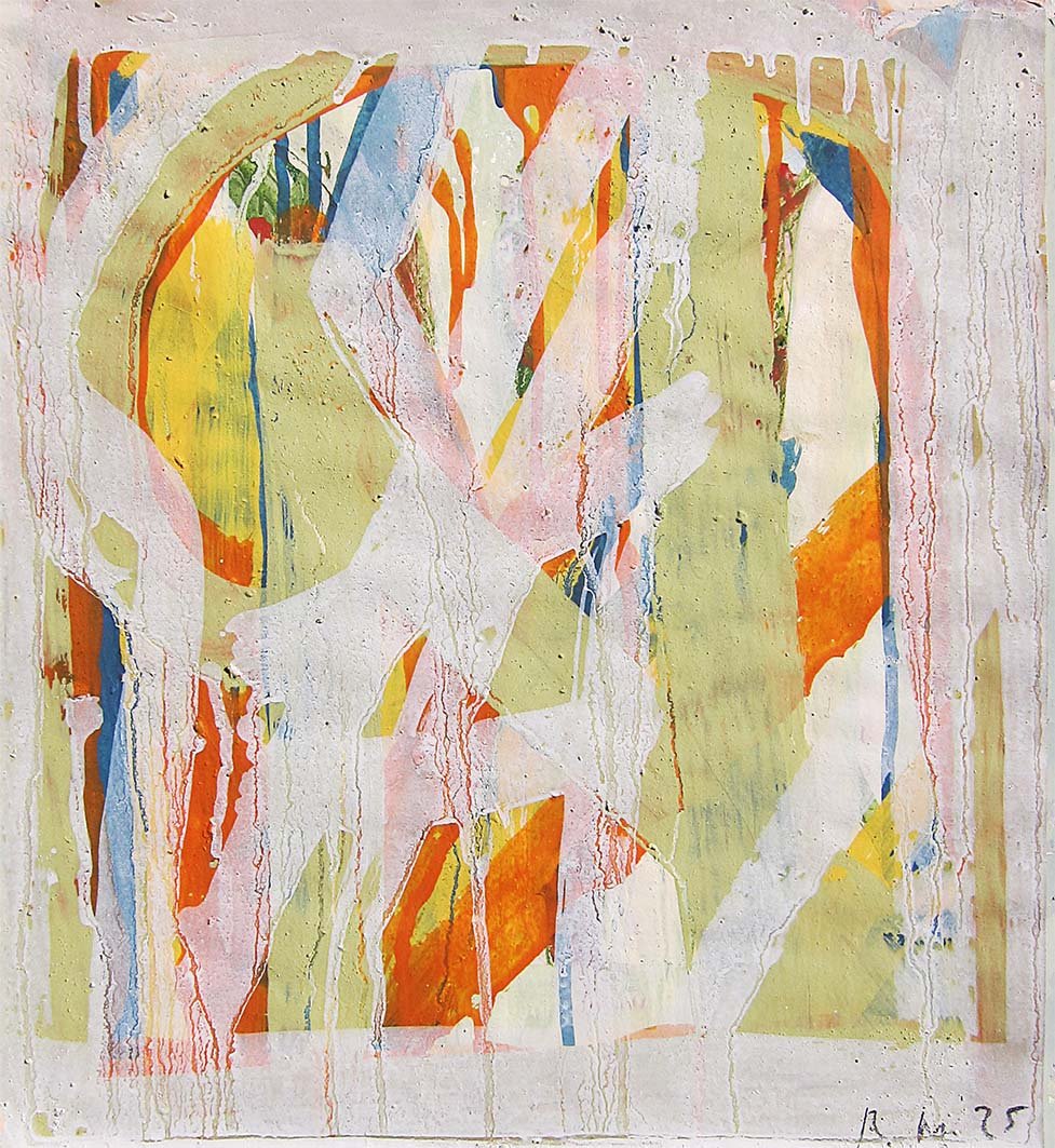 Parrots IV, 2025, pigment and binder on paper, 37 x 33cm SOLD price: $450.00 framed