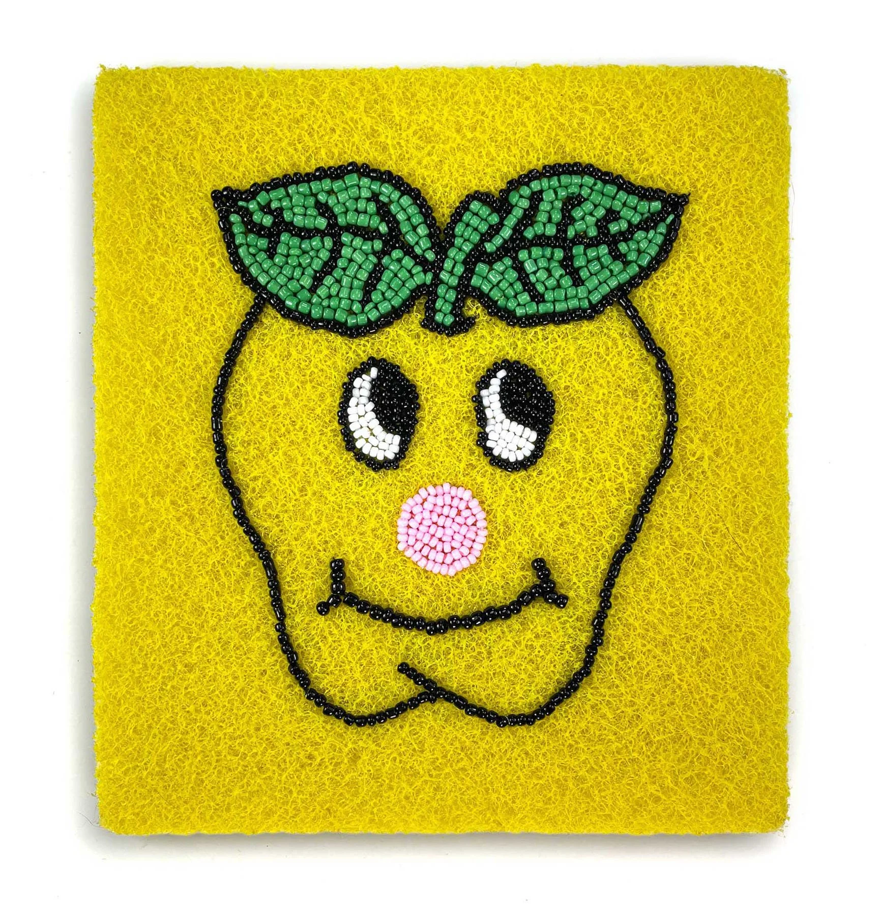 SpongeGolden Delicious, 2025, Kitchen Sponge, Japanese Glass beads, Egyptian thread, 10cm x 15cm, Frame size 25cm x 25cm price: $350.00