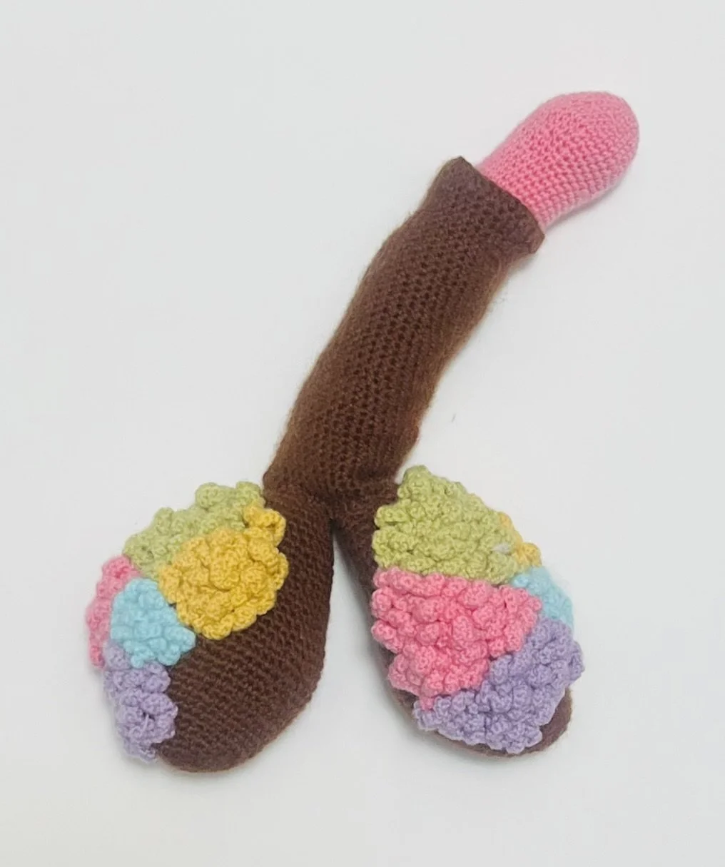 Dick Brain, 2025, crochet sculpture, 35 × 20 × 9cm price: $675.00