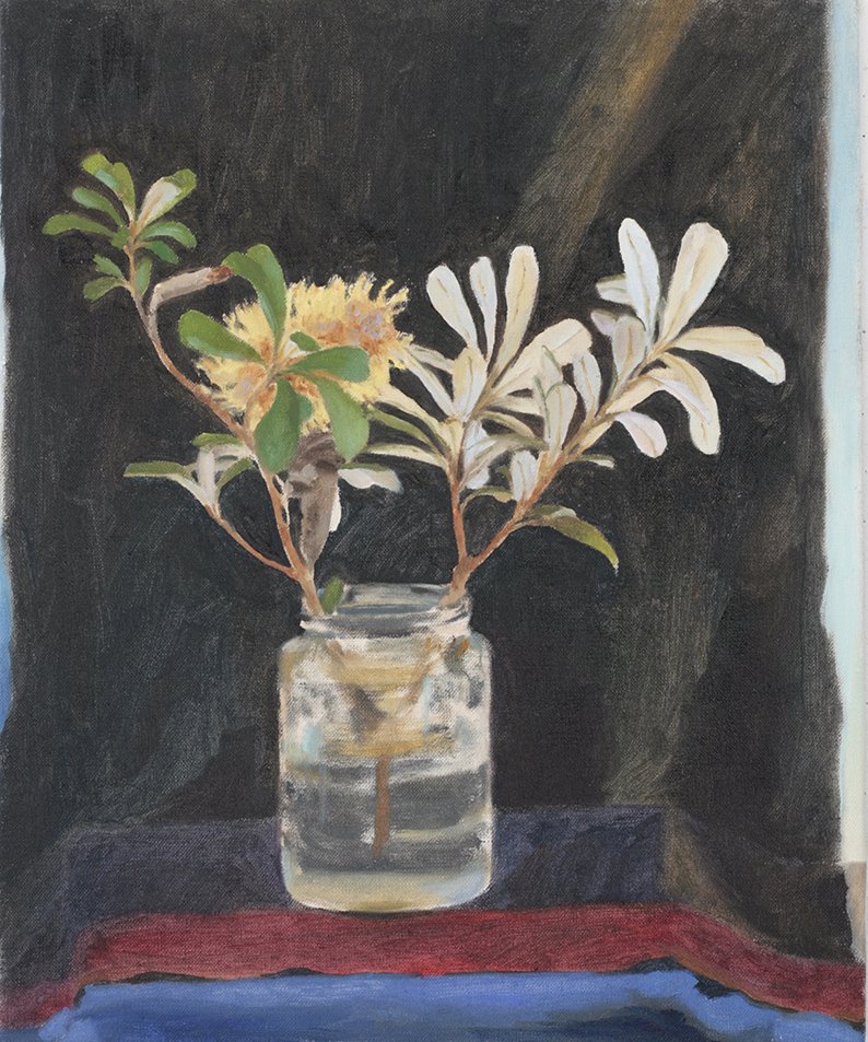  Russell Vale Banksia, 2025, oil on linen, 53 x 42cm  price:   