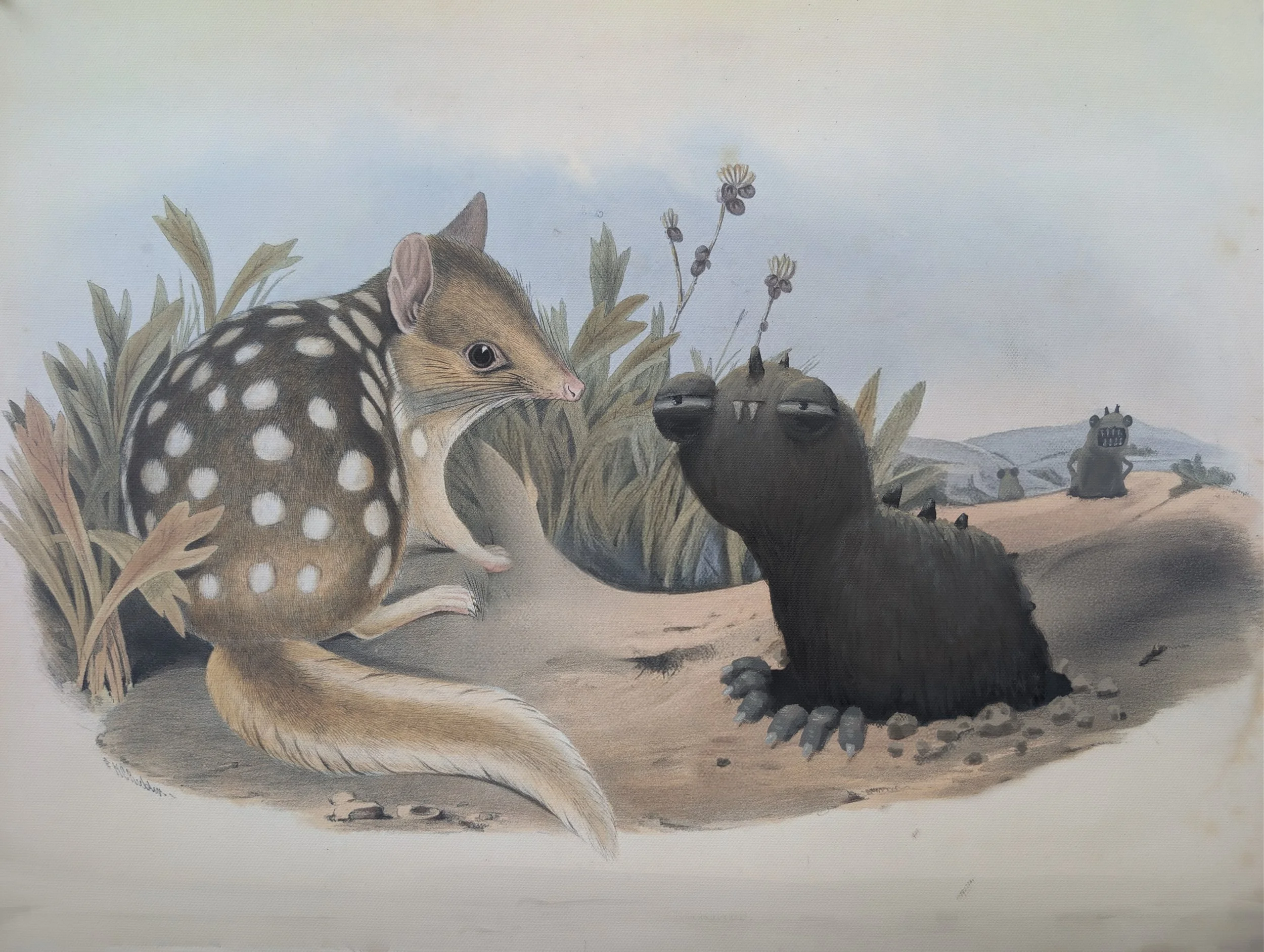   “The Ground Weirdo/ Terrifossor turbidus”  2026. 50cm x 40cm. Oil on canvas.&nbsp;Painted over an archival pigment ink reproduction of Dasyurus Viverrinus from The Mammals of Australia by John Gould (published 1845–1863).&nbsp; Presented in a recla