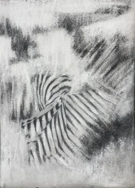  Interval 4, 2026, charcoal on handmade paper, 40 x 30cm   price: $850.00 framed in Perspex box 