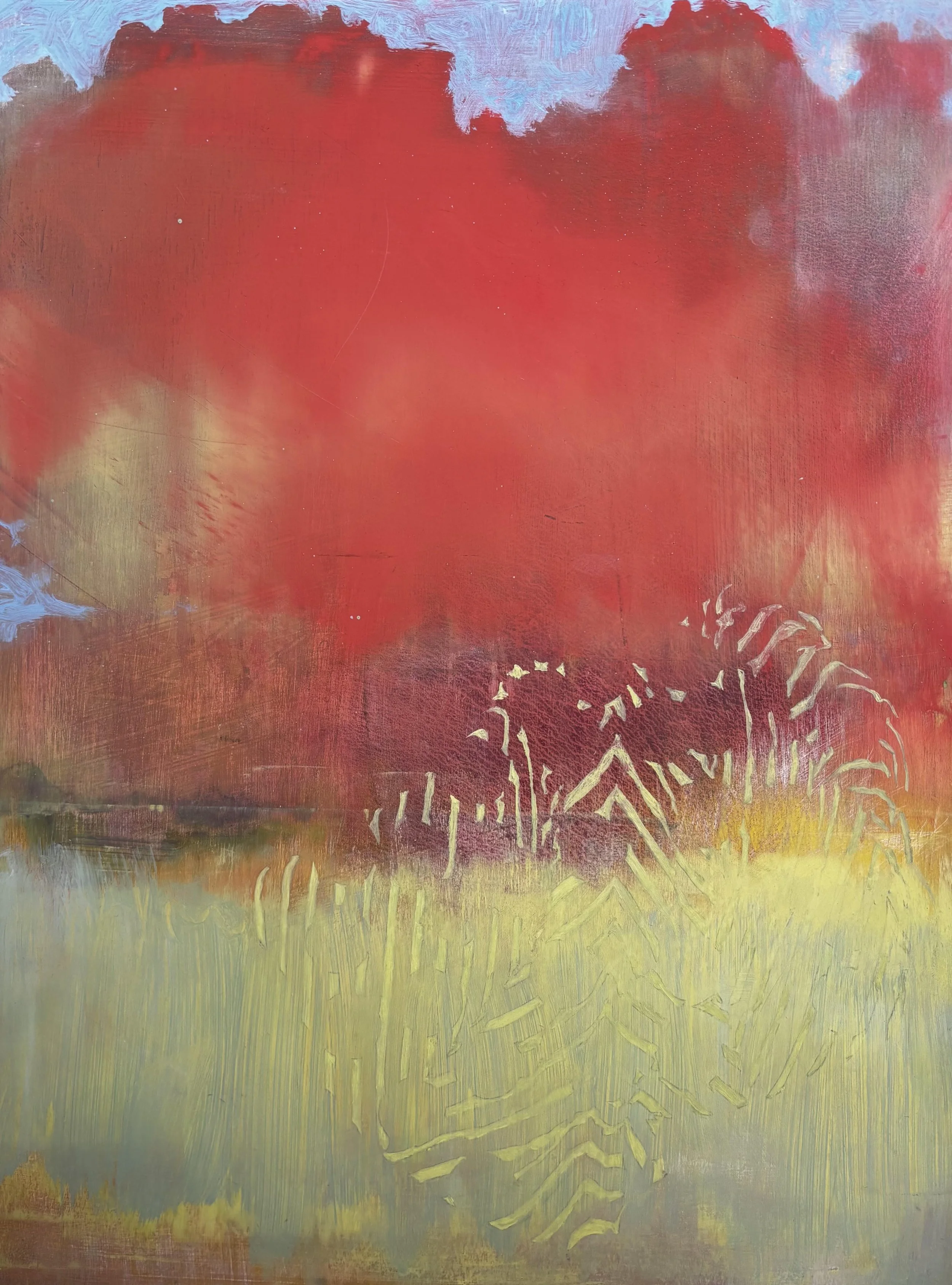 Orange cloud, 2026, oil on board, 40 x 30cm SOLD price: $1,400.00
