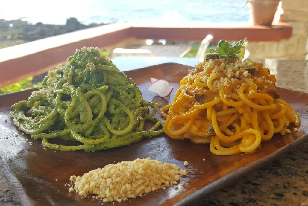 Vivo two colors spaghetti.jpg