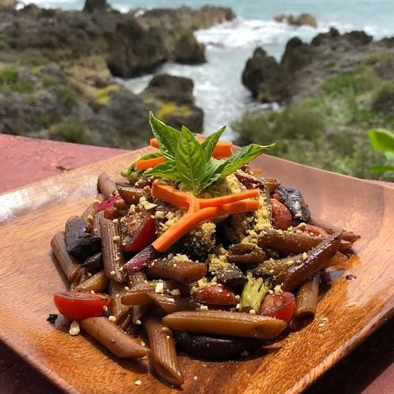 VIVO Vegan Penne Pasta.jpg