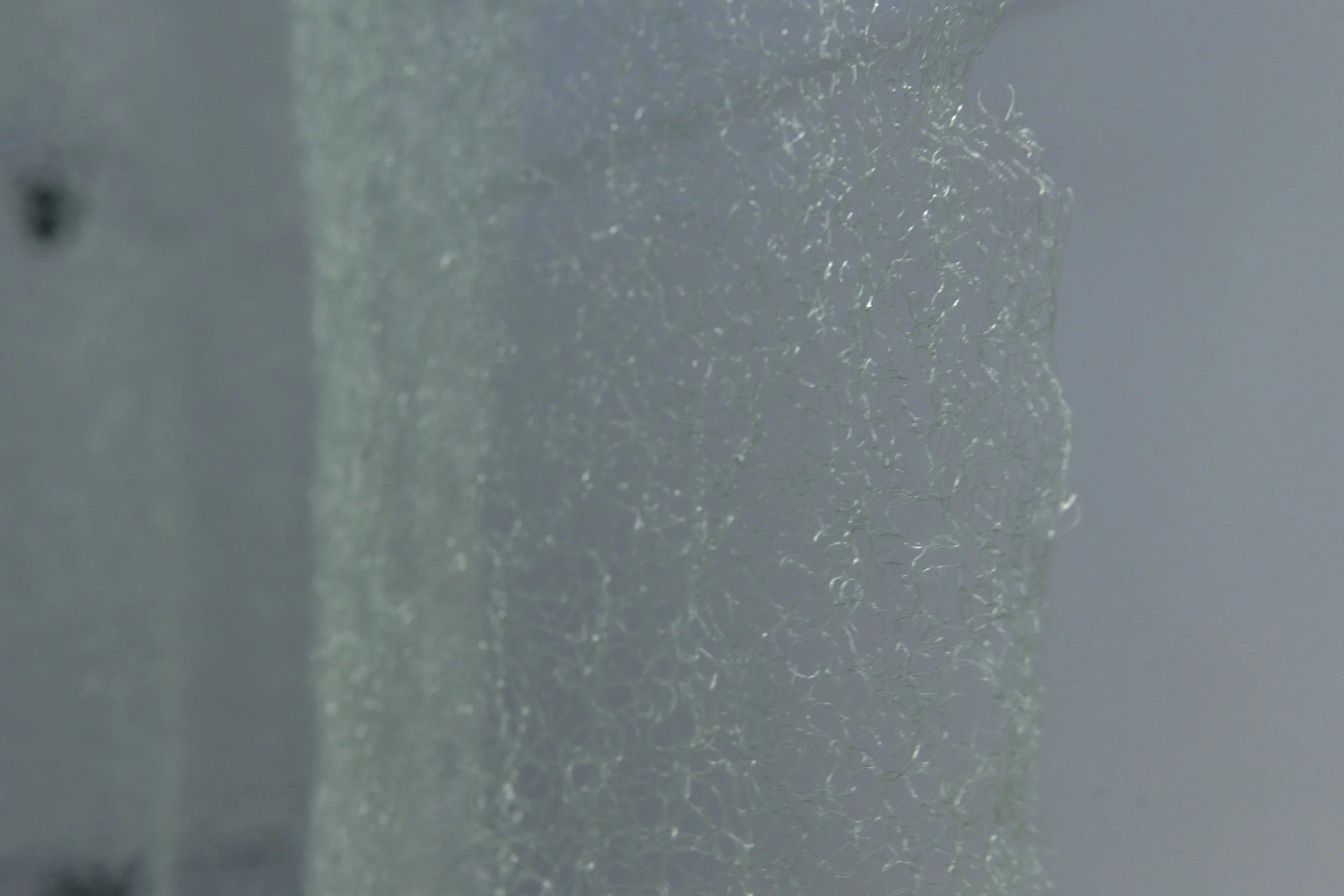 Abulon (Avalon) , hand-knitted fishing line, 2011-2016 , as exhibited in Silver Tea , Konstfack, Stockholm, Sweden, 2016.