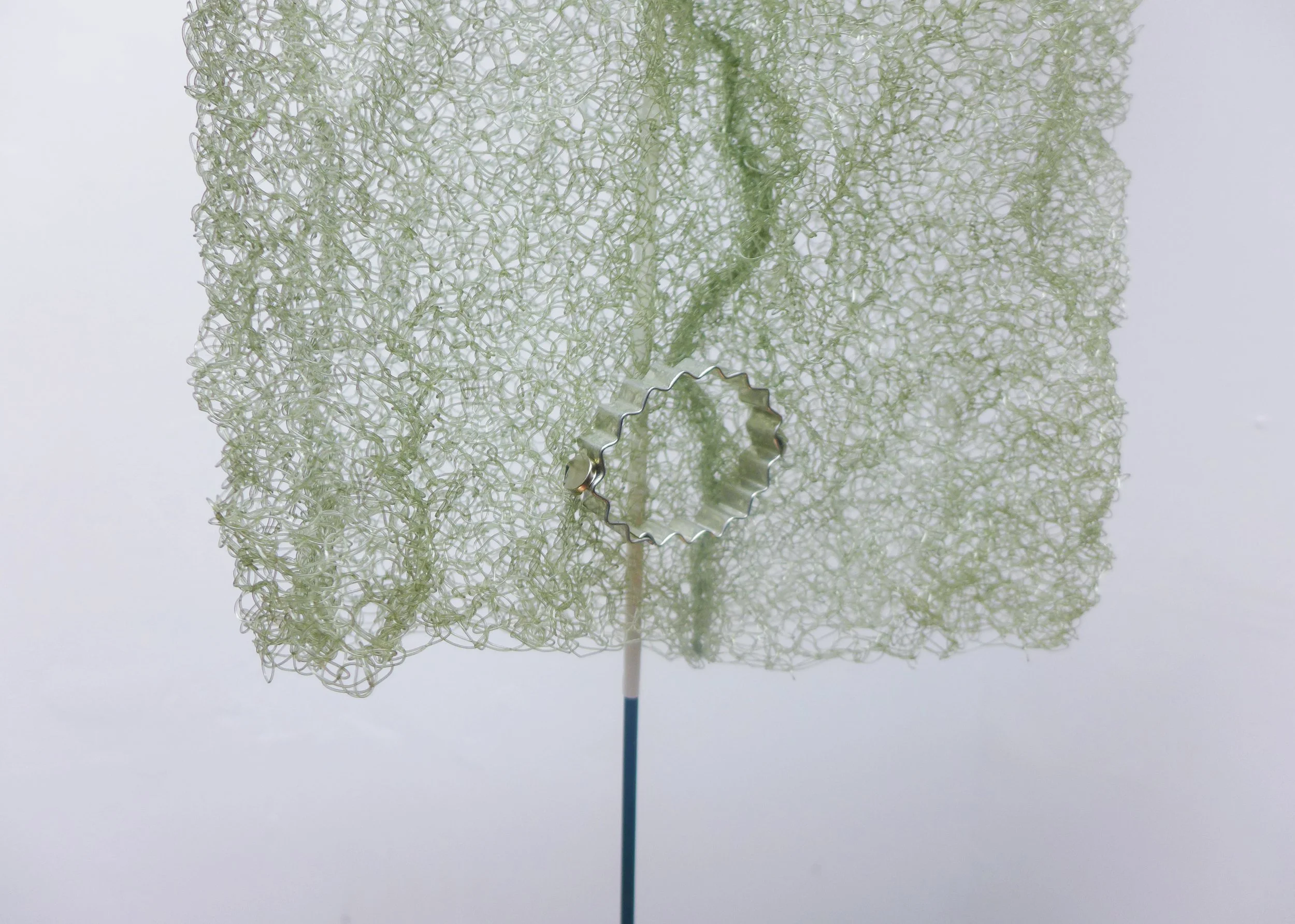 zoom 3 detail 2.jpg