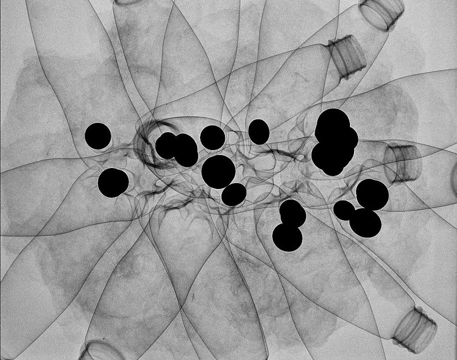 Sculpture X-ray 3, 2010