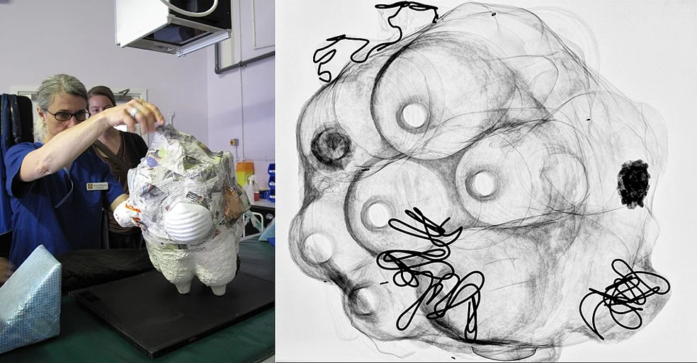 Sculpture X-ray, 2010