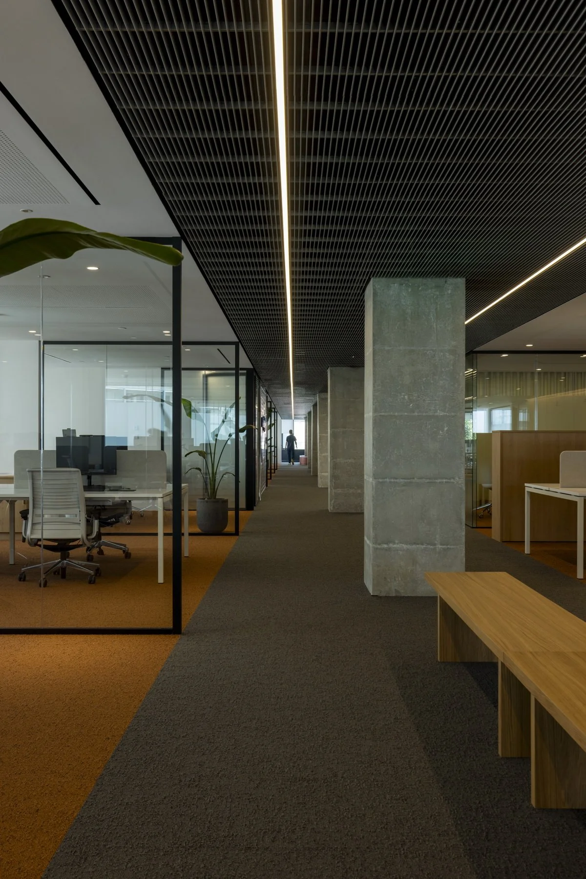 Allianz Trade 06.jpg