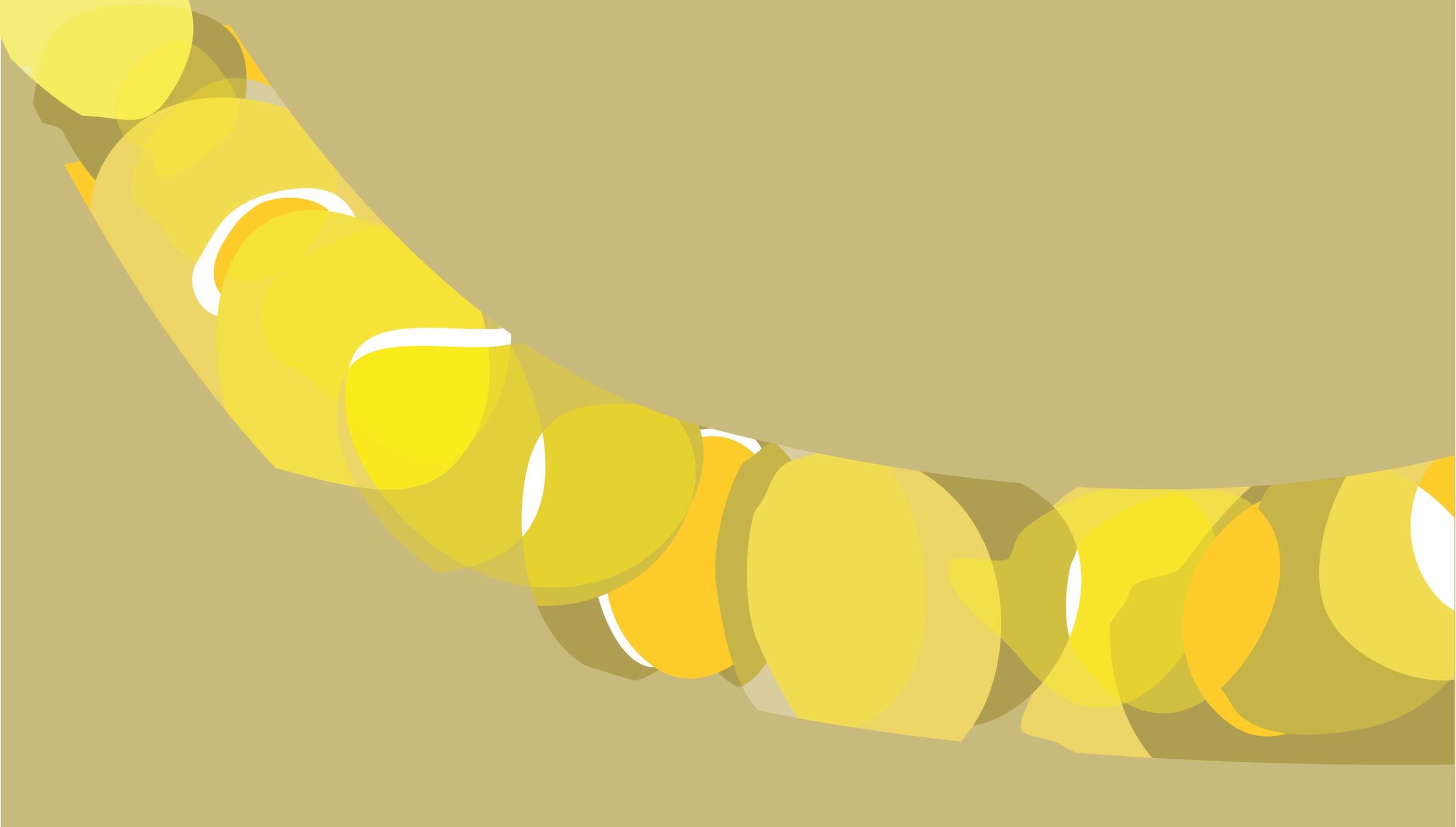 AGC Web Parallax Background.jpg