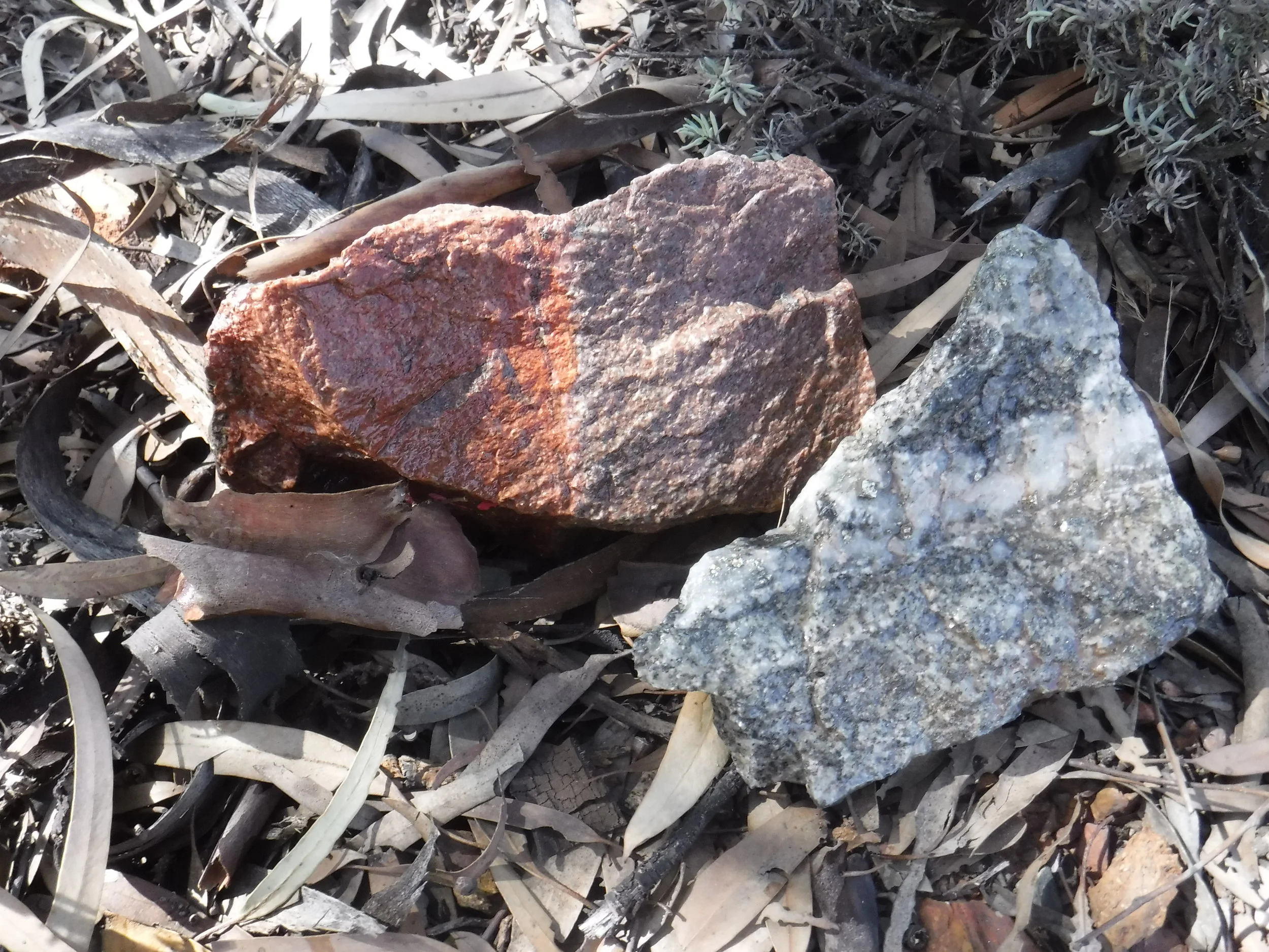Janet Ivy Quartz-Feldspar Porphyry rocks (Photo credit: Ryan Lemm, Norton Gold Fields Ltd Paddington Operations)