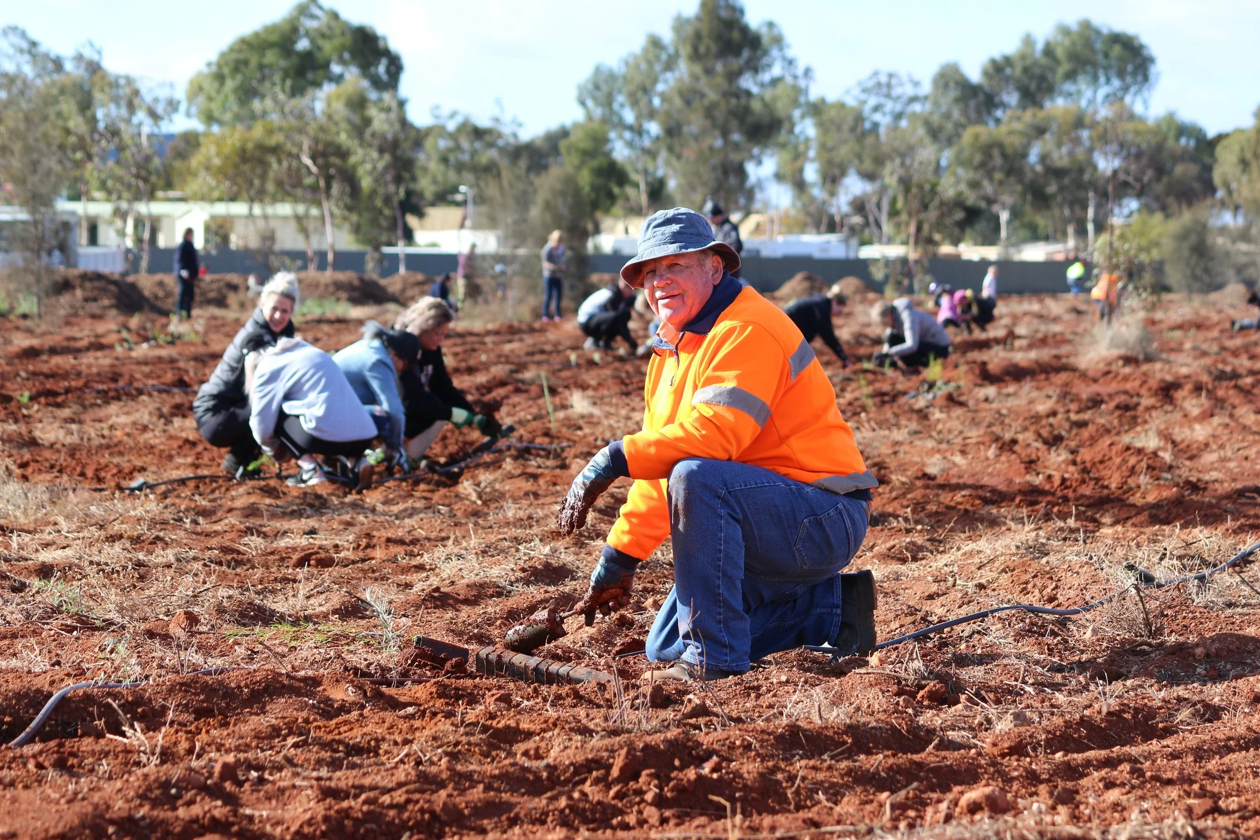 KCGM volunteer lending a hand during Kalgoorlie-Boulder Urban Landcare Group’s tree planting day.