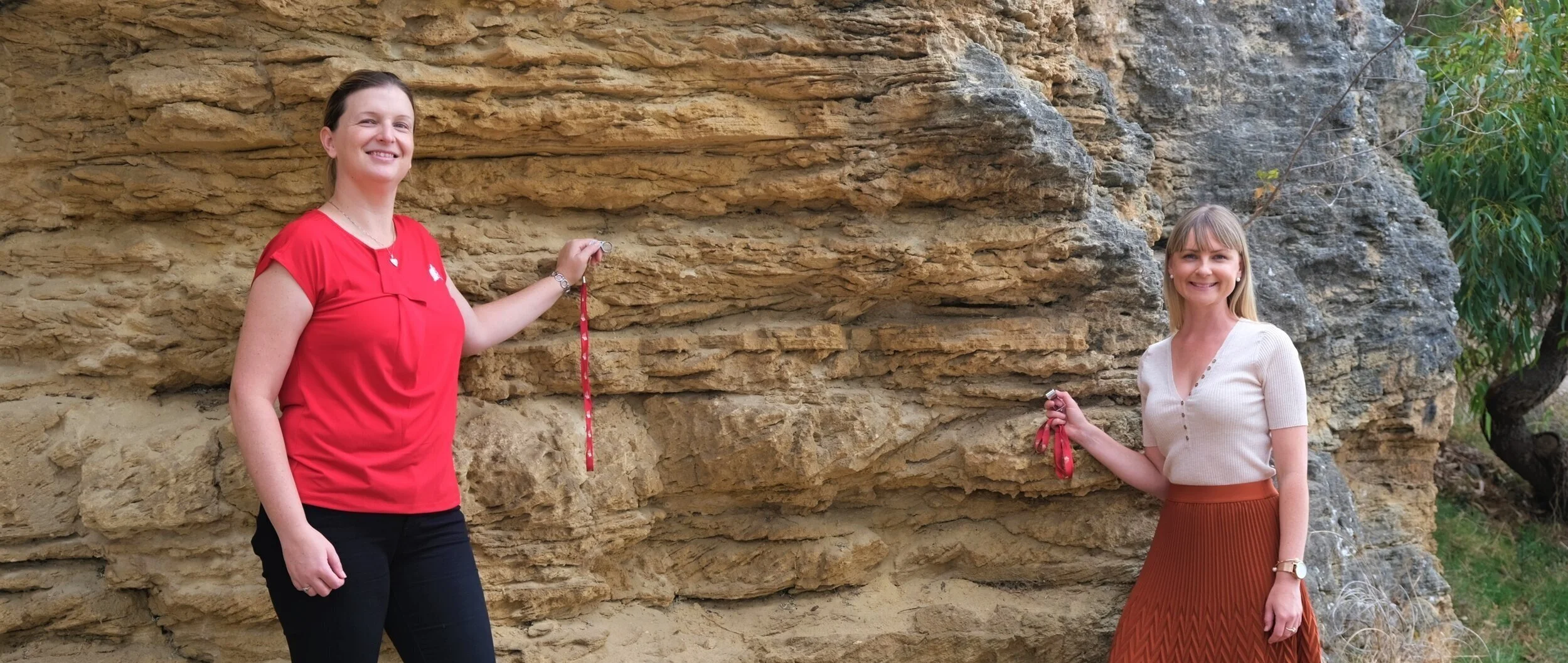 NSW education gets golden boost