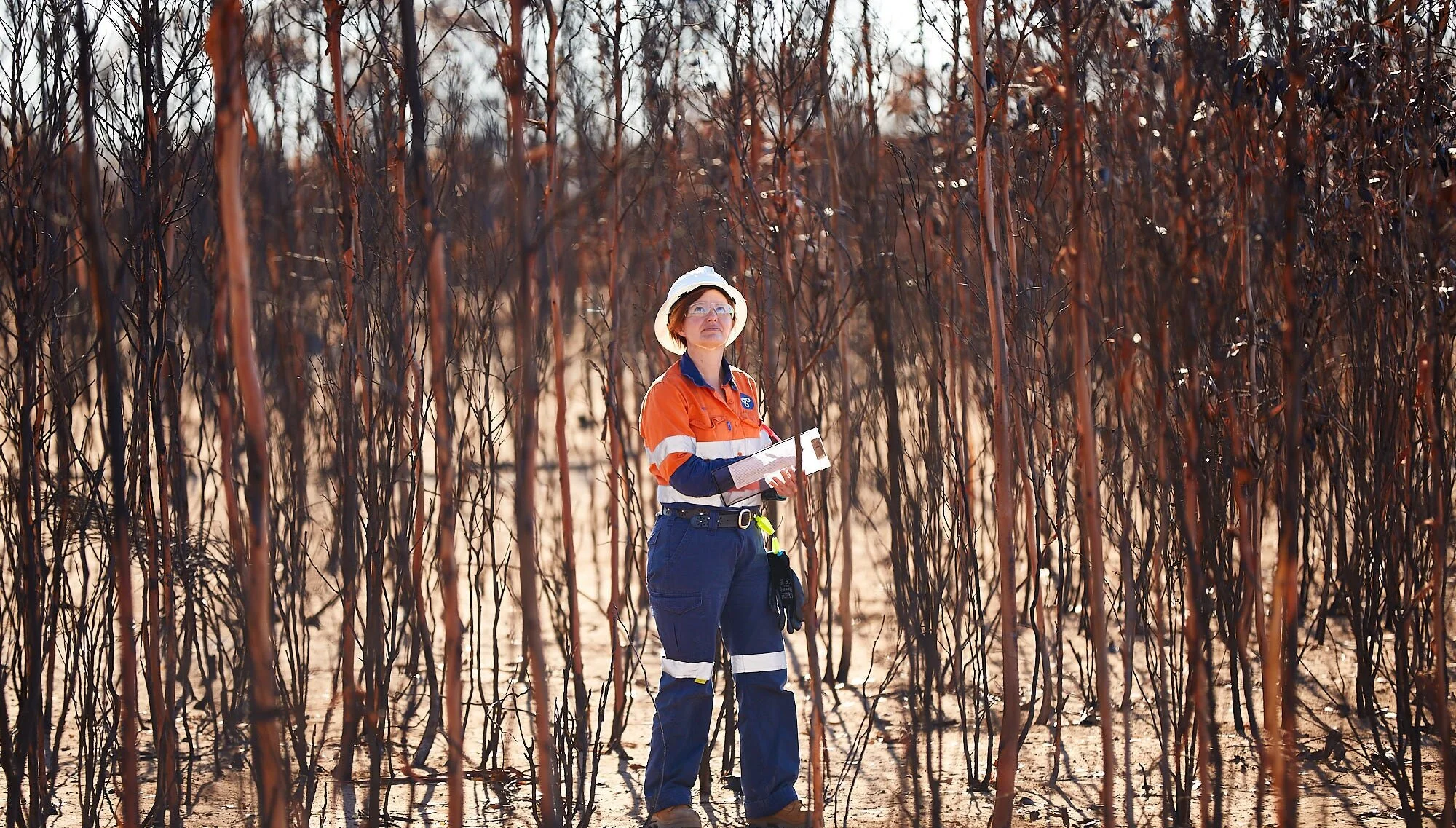 IGO pledges $250,000 for COVID-19 and bushfire recovery