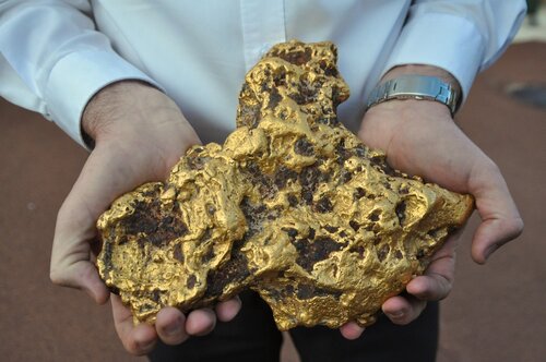 Replica of the Golden Beauty Nugget. Credit: The Perth Mint.