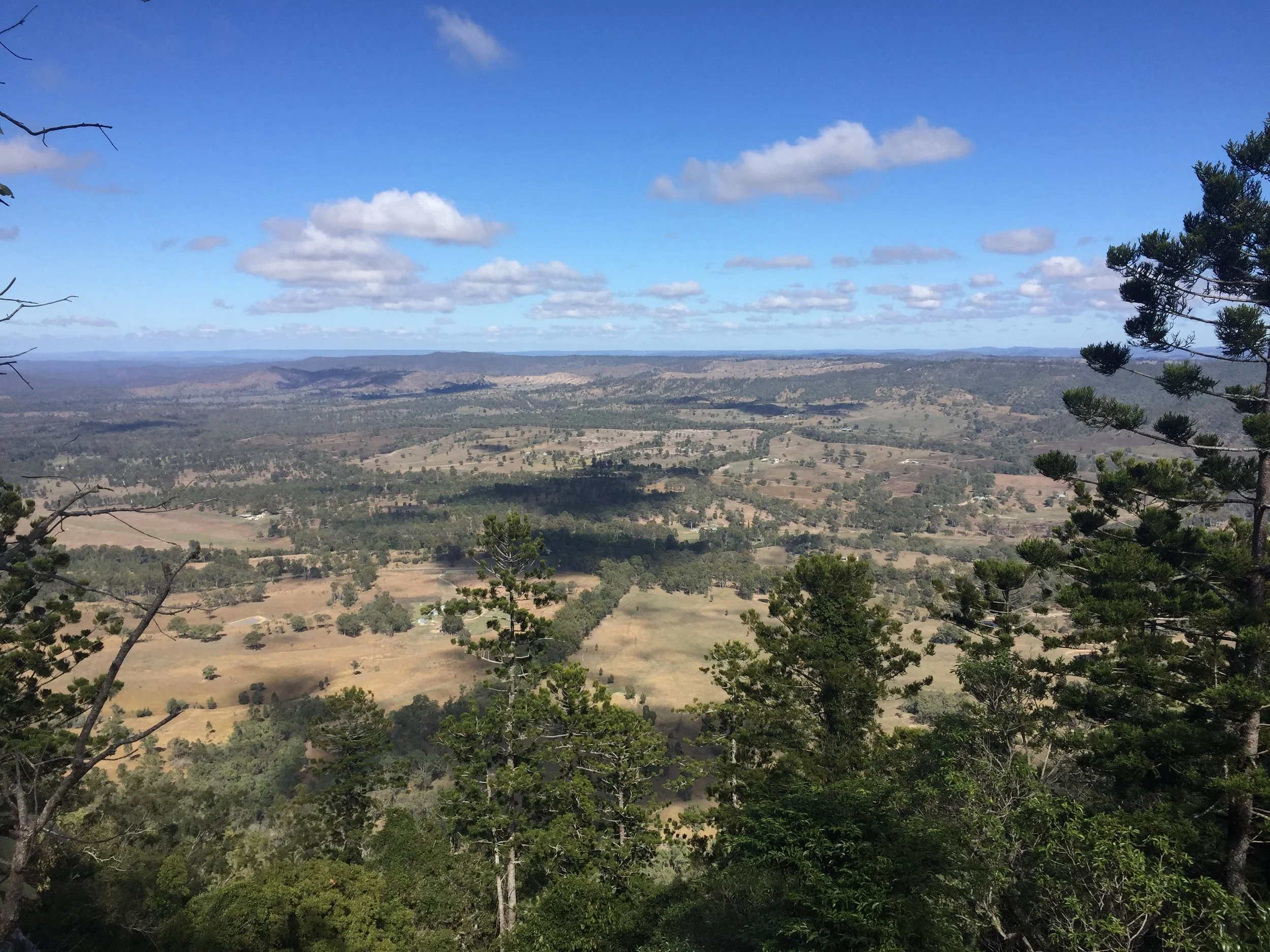 Evolution Mining creates new Mt Perry Summit Nature Walk