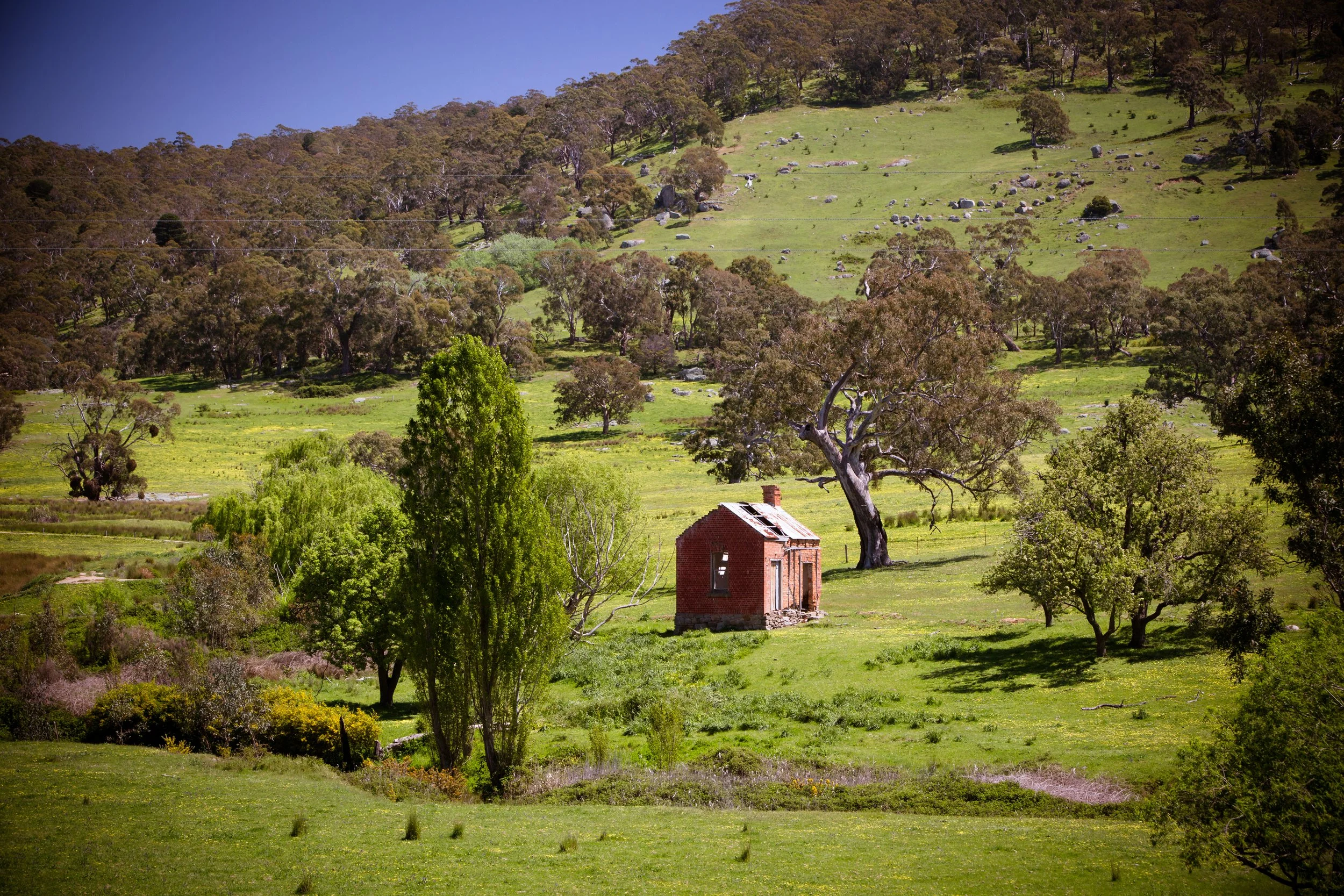 Eureka! The best places to go gold prospecting in Australia — Gold