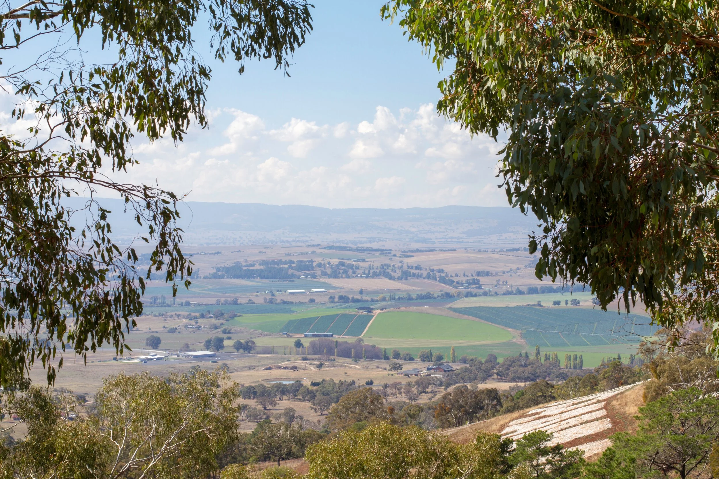 Eureka! The best places to go gold prospecting in Australia — Gold