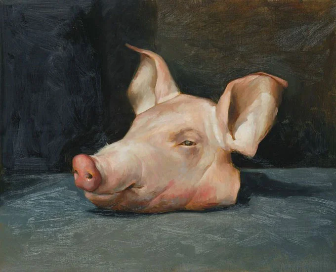 Pig