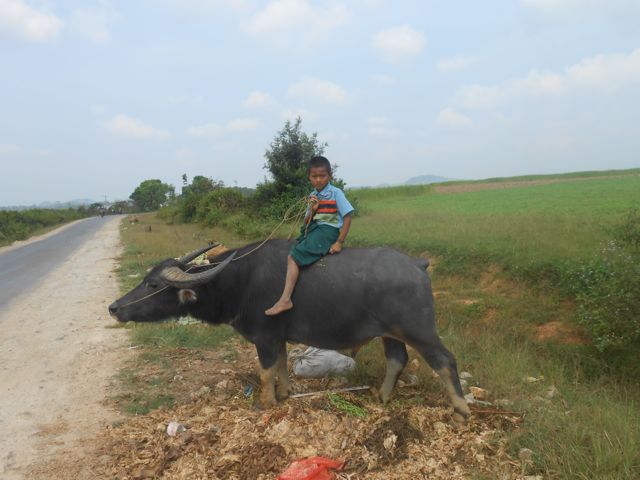 Local tractor