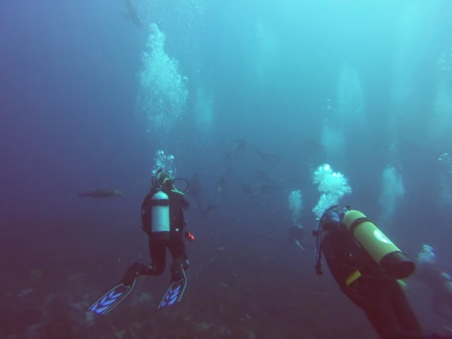 DCIM100GOPRO