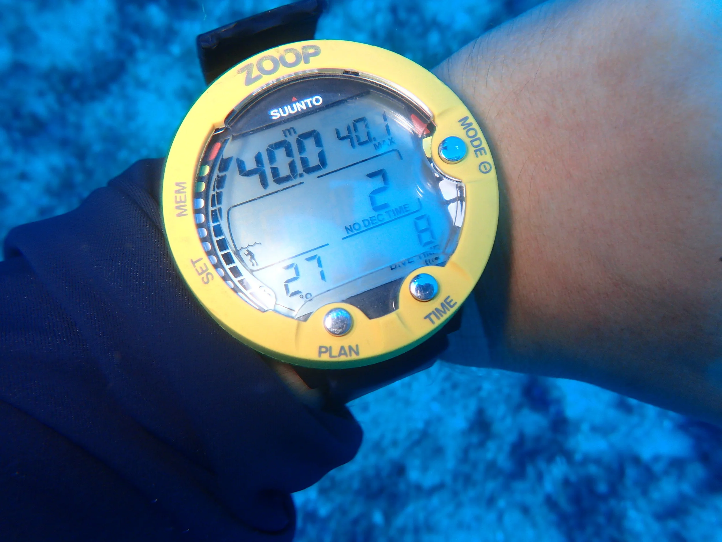 zoop dive watch