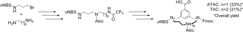 An efficient multigram scale synt hesis of a new asymmetric triazacyclophane scaffold, the ATAC (Asymmetric-TAC) scaffold, bearing three selectively removable groups is described. This scaffold is slightly more rigid than our frequently used TAC (TriAzaCyclophane) scaffold. The rigidity of the triazacyclophane ring in both TAC- and ATAC scaffolds has also been investigated using variable temperature 1 H NMR experiments.