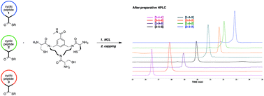 The accessibility to collections, libraries and arrays of cyclic peptides is increasingly important since cyclic peptides may provide better mimics of the loop-like structures ubiquitously present in and – especially – on the surface of proteins. The next important step is the preparation of libraries of ensembles of scaffolded cyclic peptides, which upon screening may lead to promising protein mimics. Here we describe the synthesis of a tri-cysteine containing scaffold as well as the simultaneous native chemical ligation of three cyclic peptides thereby affording a clean library of multiple cyclic peptides on this scaffold, representing potential mimics of gp120. Members of this collection of protein mimics showed a decent inhibition of the gp120-CD4 interaction.