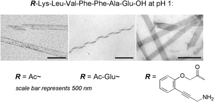 Tune your tube: the aggregation morphology of the A β (16–22) sequence is strongly dependent on the overall charge of the peptide and can be tuned by variations of the N -terminal capping moiety in combination with the pH.