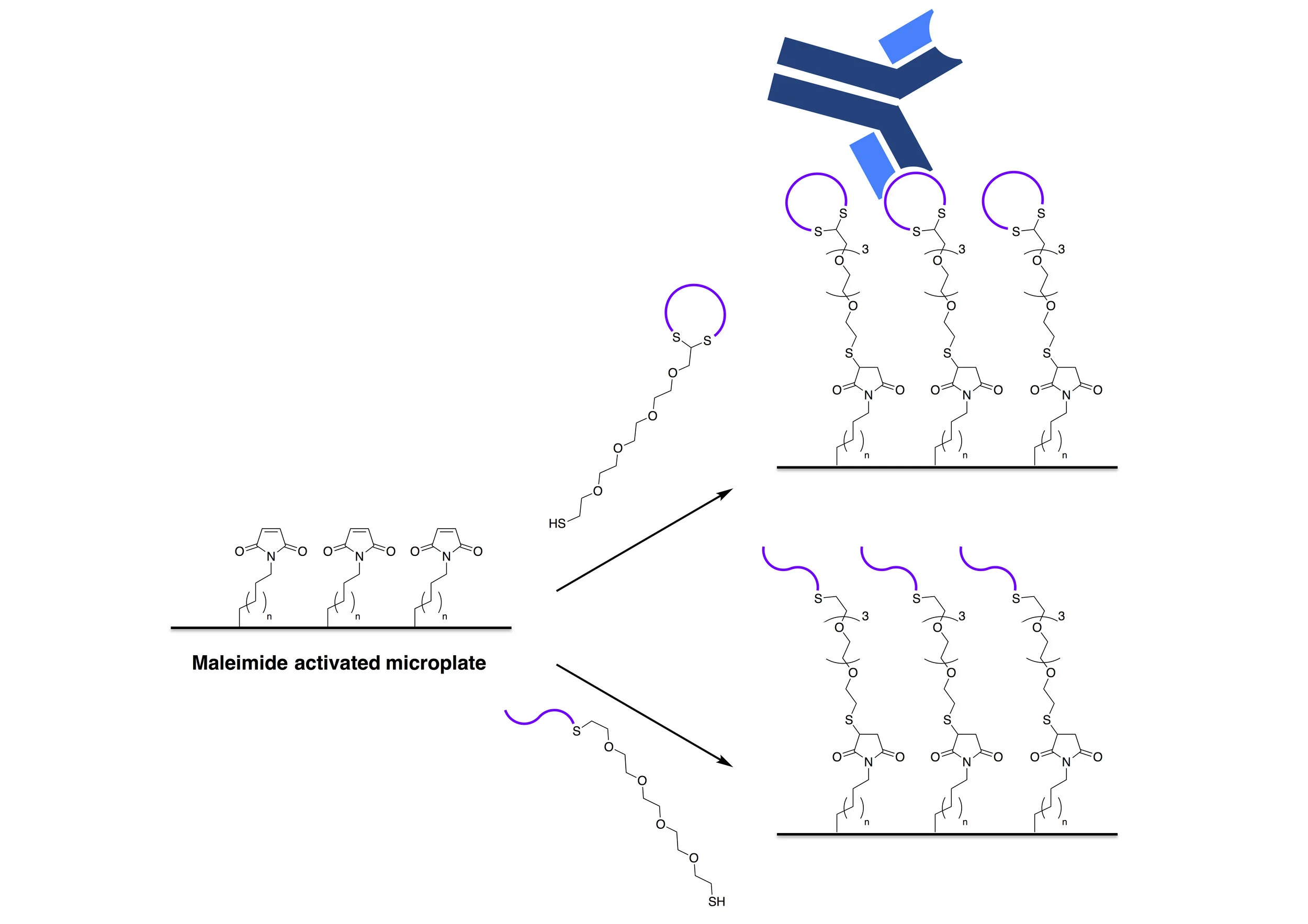 graphabstract_BioConjChem_2018.jpg