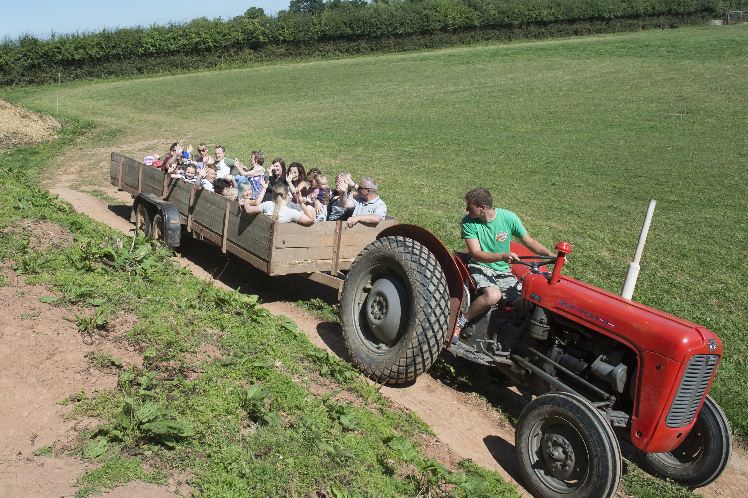 Explore — Newbridge Farm Park
