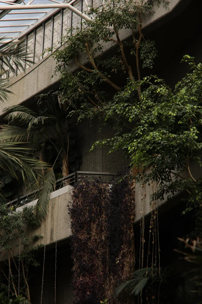 barbican (12 of 17).jpg